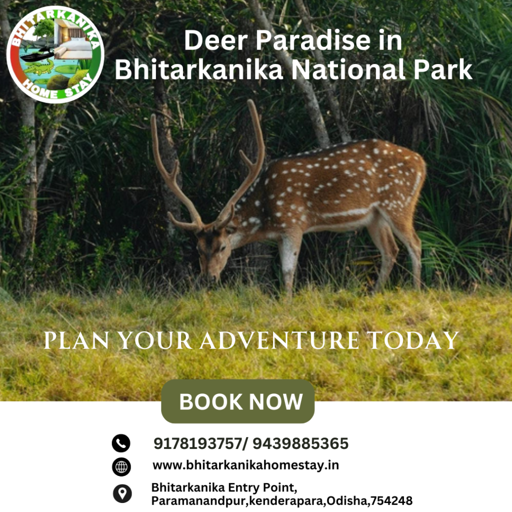 Dear paradise in Bhitarkanika