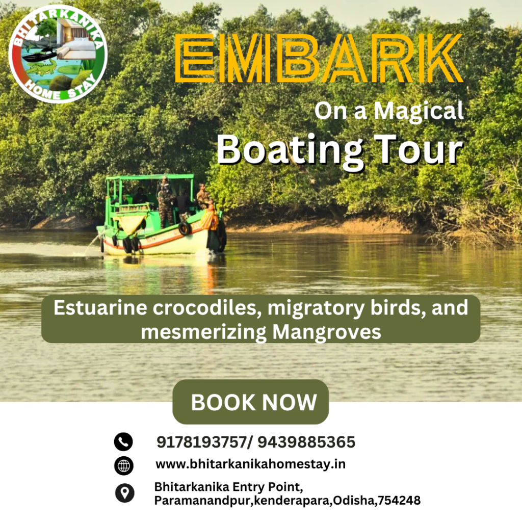 Embark on a magical boating tour