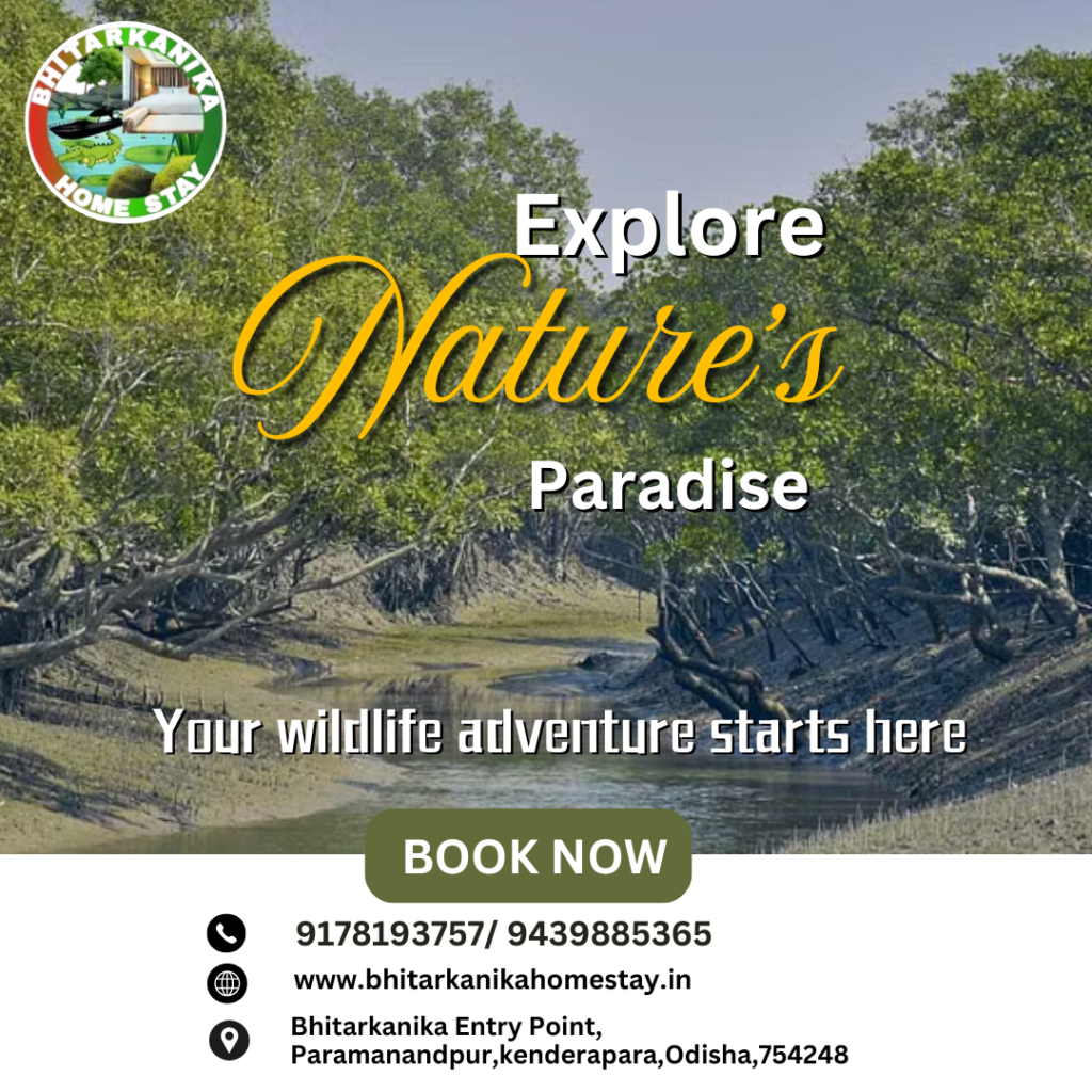 Explore natures paradise
