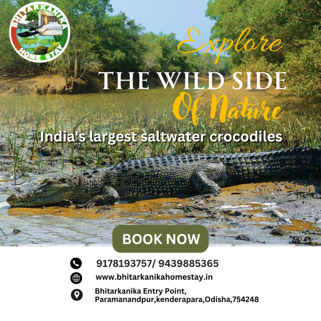 Explore the wild of nature