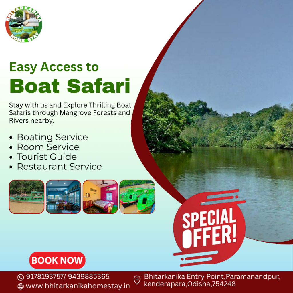 Easy Access to Boat Safari