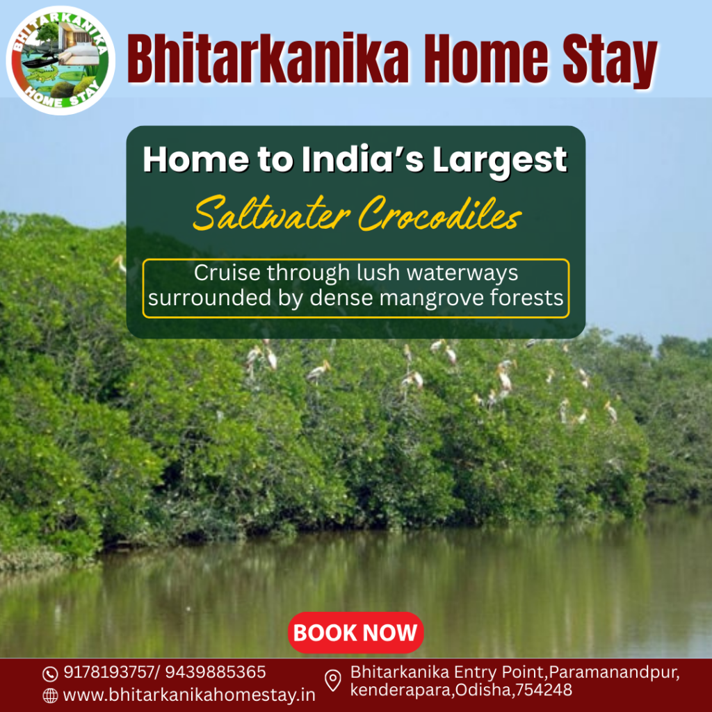 Home to India’s Largest Saltwater Crocodiles