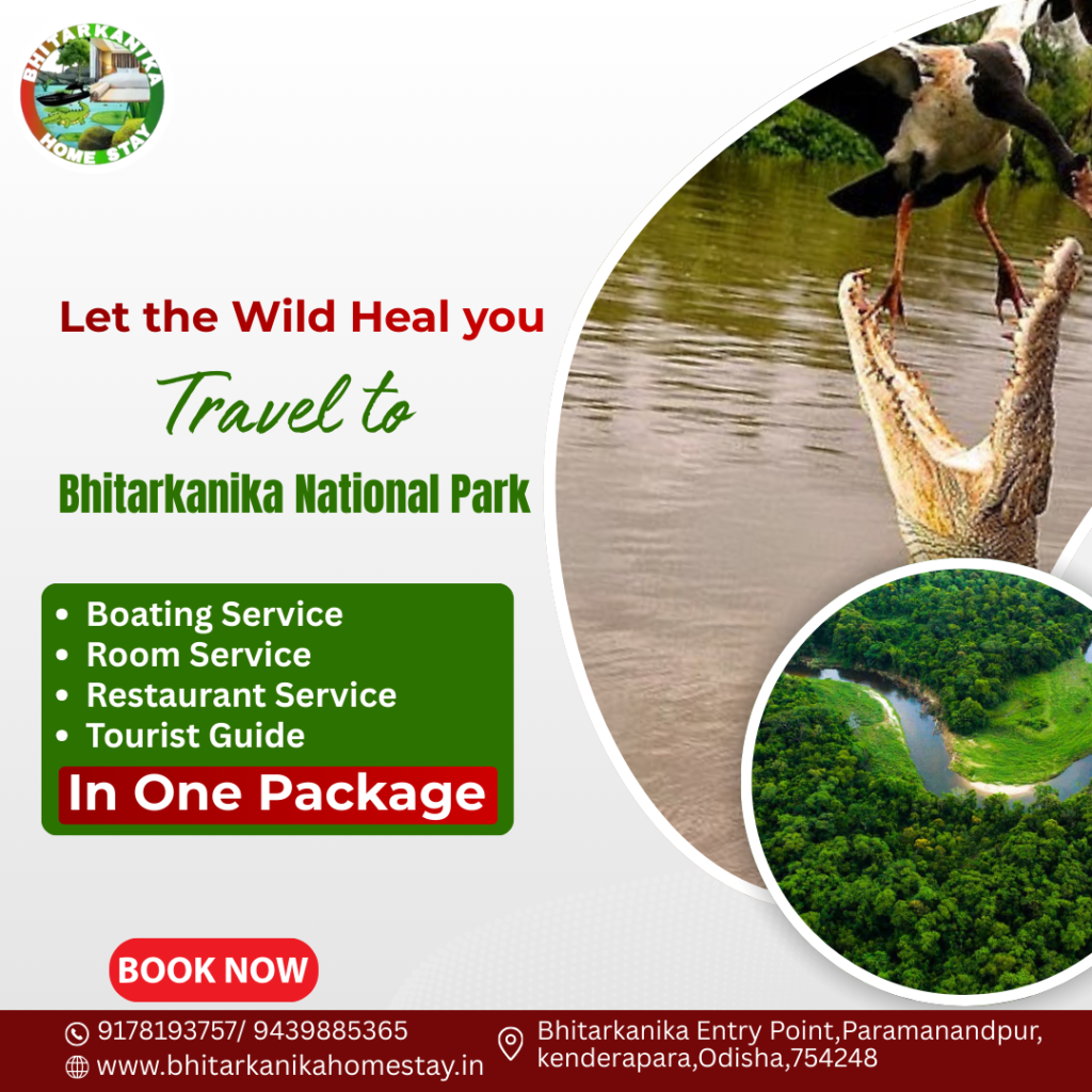 Let the Wild Heal you Travel to Bhitarkanika National Park