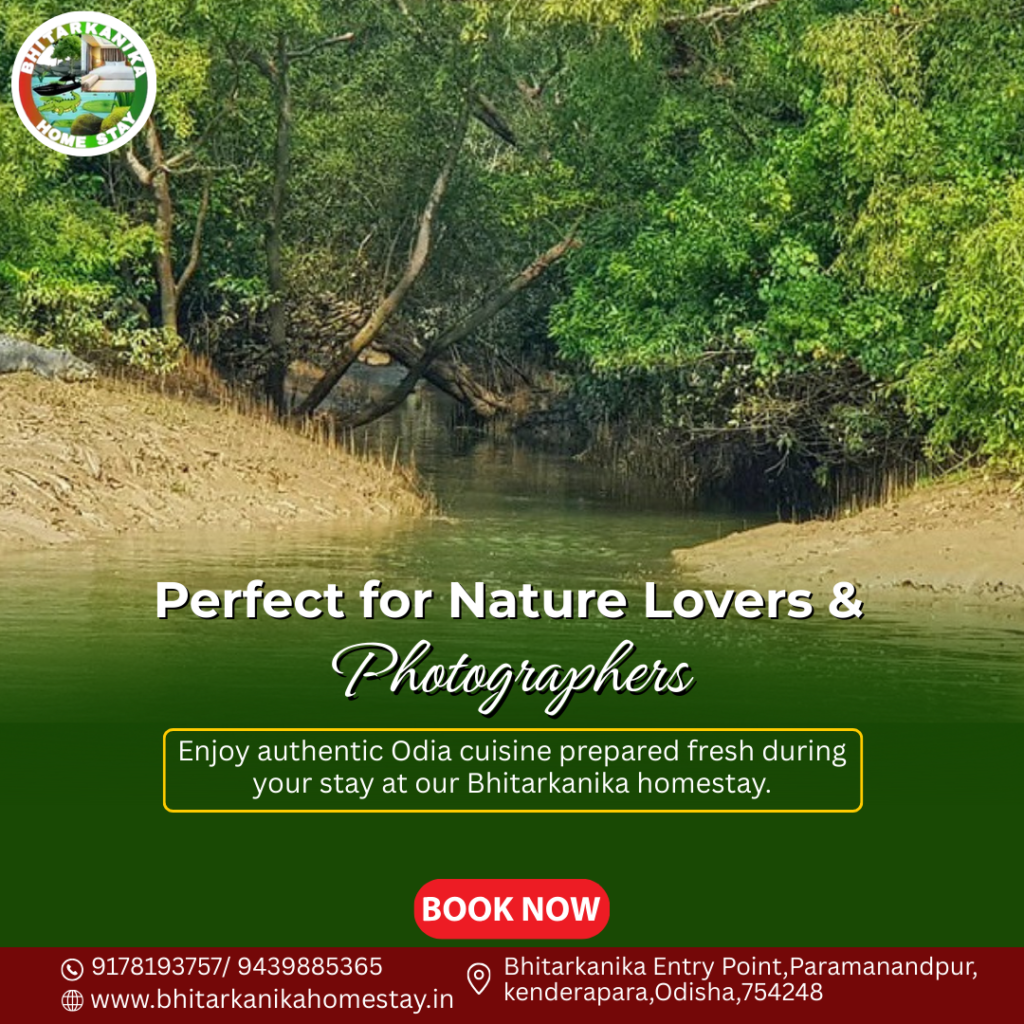 Perfect for nature lover